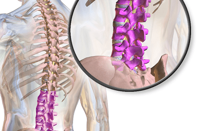 18 Stretches for Sciatica Pain Relief You Can Do at Home – Chirp™