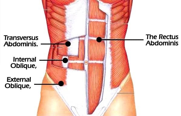 core muscles lower back pain squats