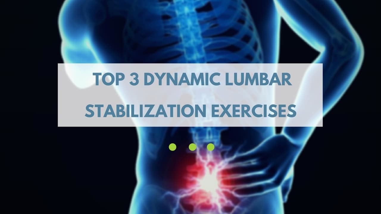 dynamic lumbar stabilization exercises