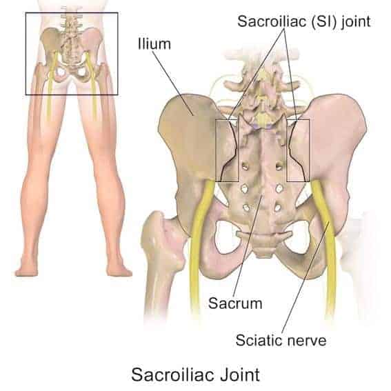 3 SI Joint Stretches to Heal Sacroiliac Pain Precision Movement