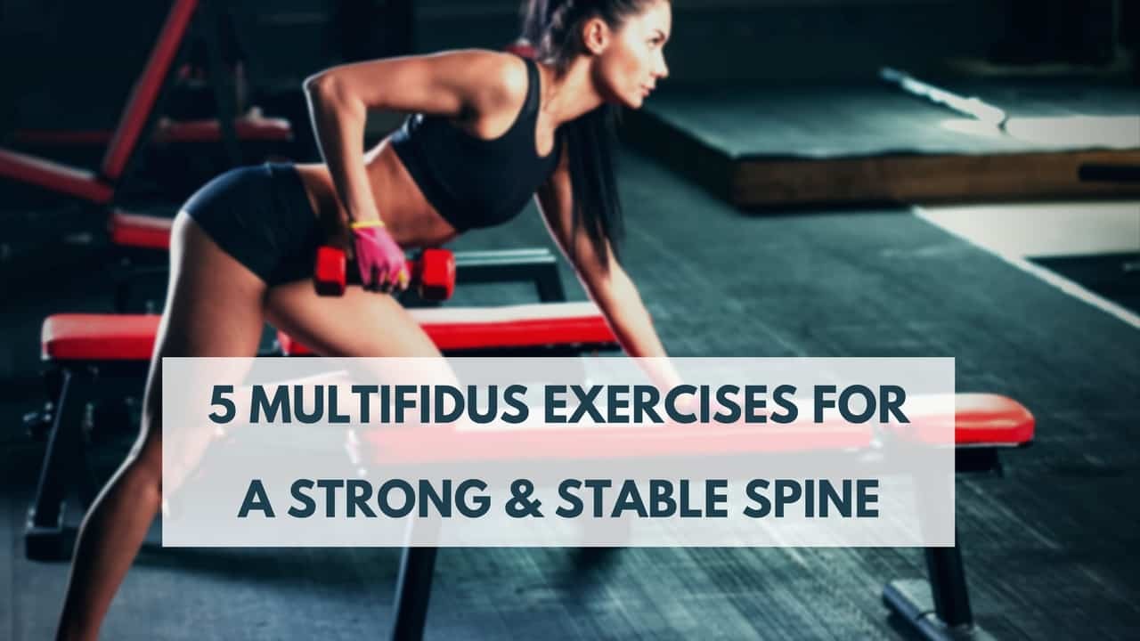 5 Multifidus Exercises For A Strong Stable Lumbar Spine 