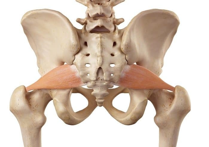 piriformis syndrome stretches for piriformis strengthening