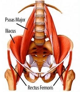 psoas and posterior pelvic tilt