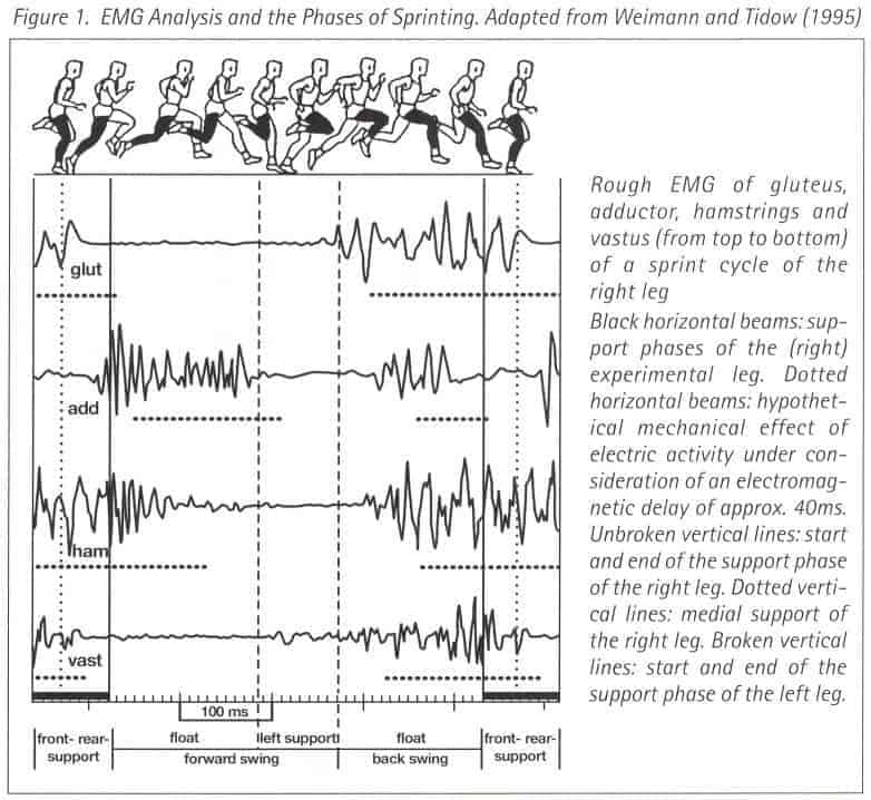 adductor strain EMG study