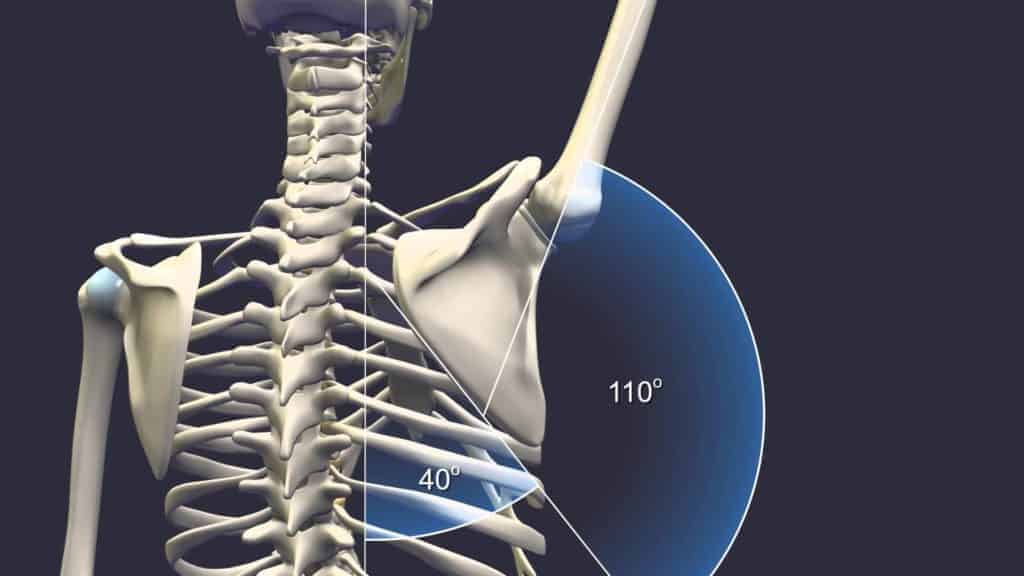 scapular dyskinesis overhead position