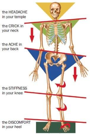 5 Exercises to Fix Patellar Tracking Disorder - Precision Movement