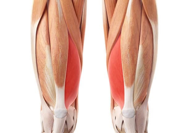  patellofemoral pain syndrome exercises - vastus medialis