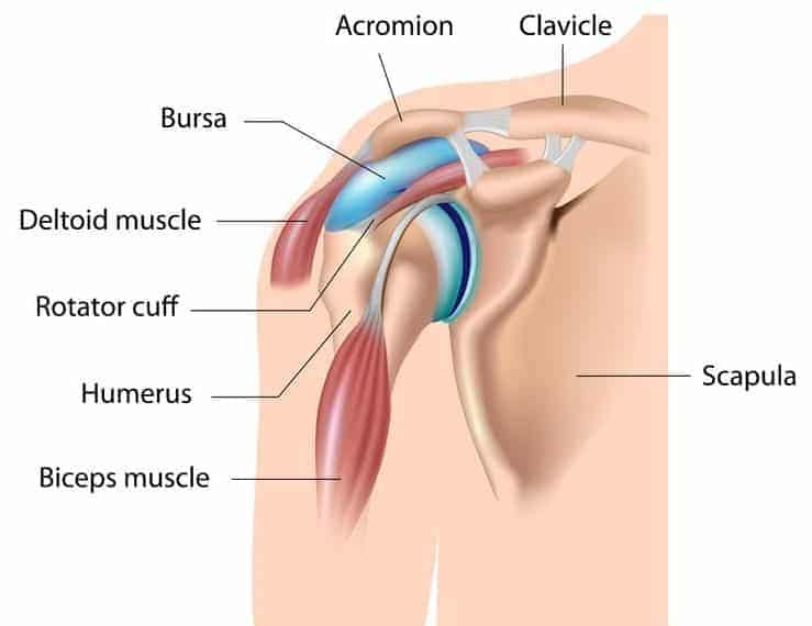 shoulder impingement stretches bursitis