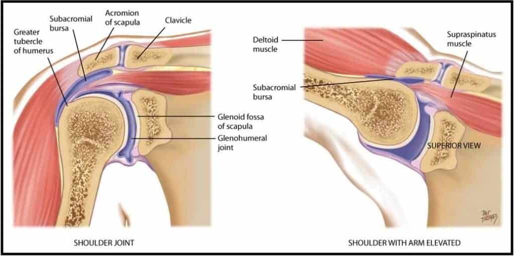  shoulder impingement stretches - shoulder joint anatomy