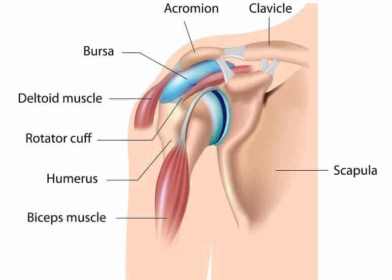  shoulder impingement test - shoulder bursitis