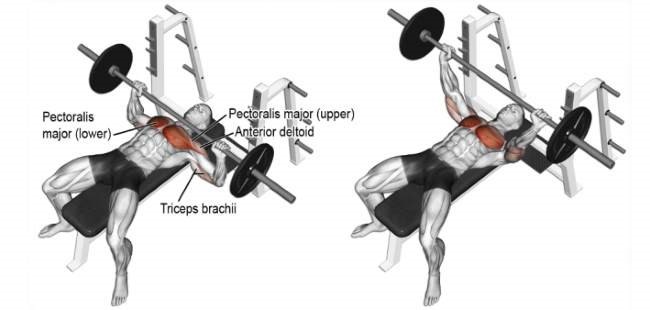 doorway pec stretch chest training
