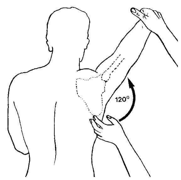 Do THIS Instead Of A Levator Scapulae Stretch For Neck Pain Precision 