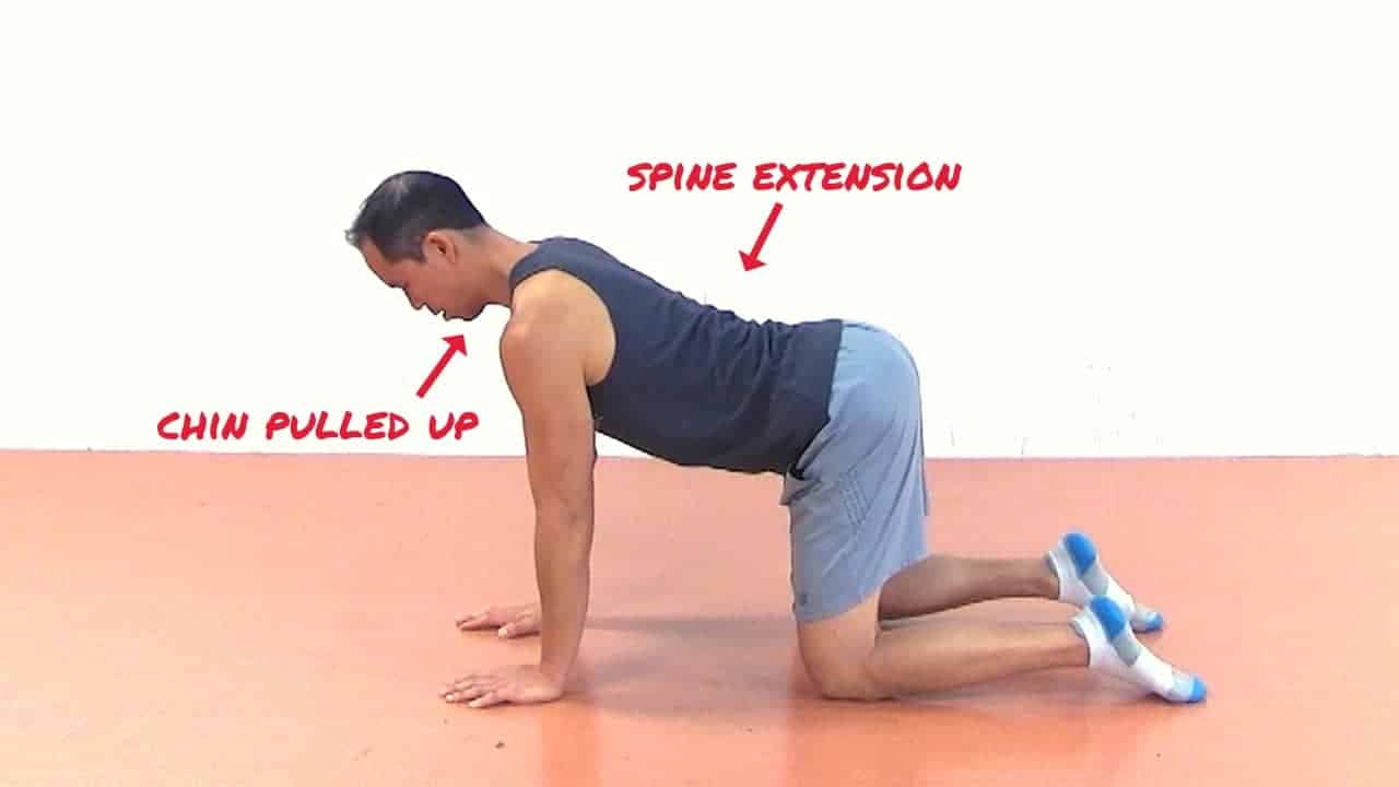 4-Point T-Spine ERE Instructions - part 3