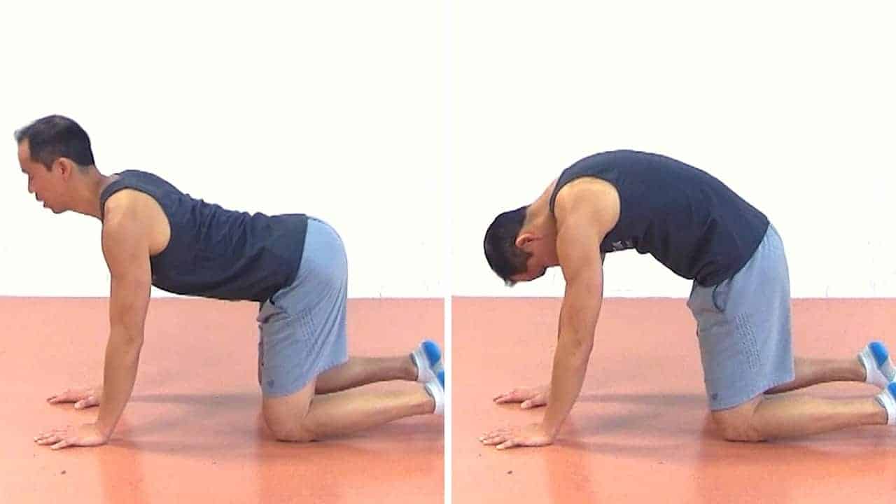 4-Point T-Spine ERE Instructions - step 1