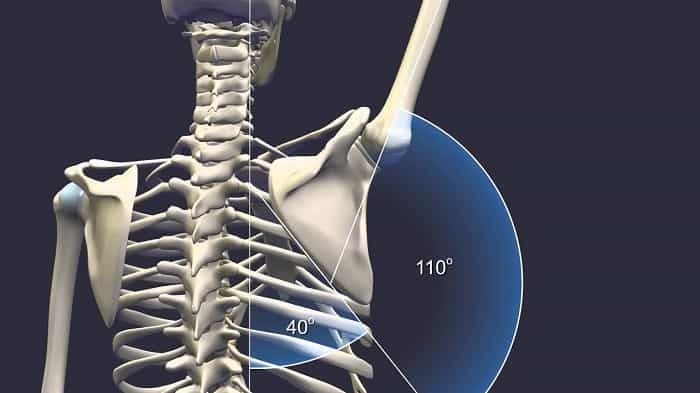 serratus anterior exercises scapulohumeral rythm