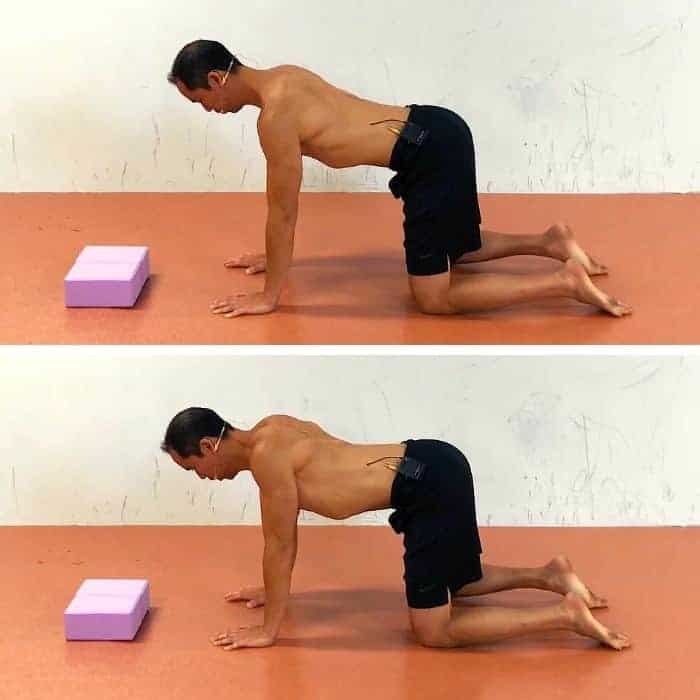 serratus anterior exercise 3 scapular pushups