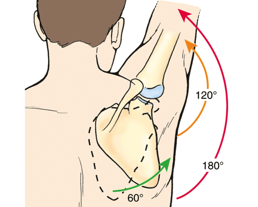 Shoulder Impingement Rehab Guide Precision Movement