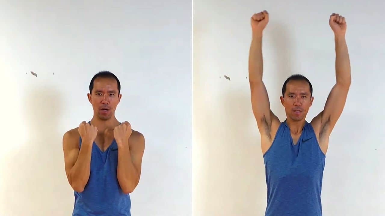 shoulder impingement rehab exercise - arnold press
