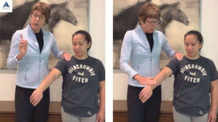rotator cuff injury tests - Jobe's test