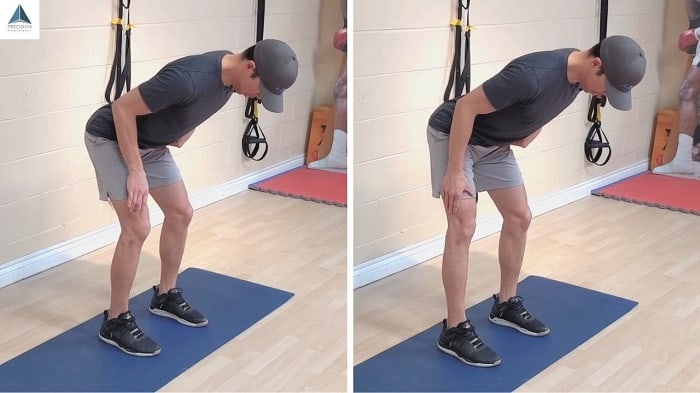 hinged knee fl-ex - si joint exercise