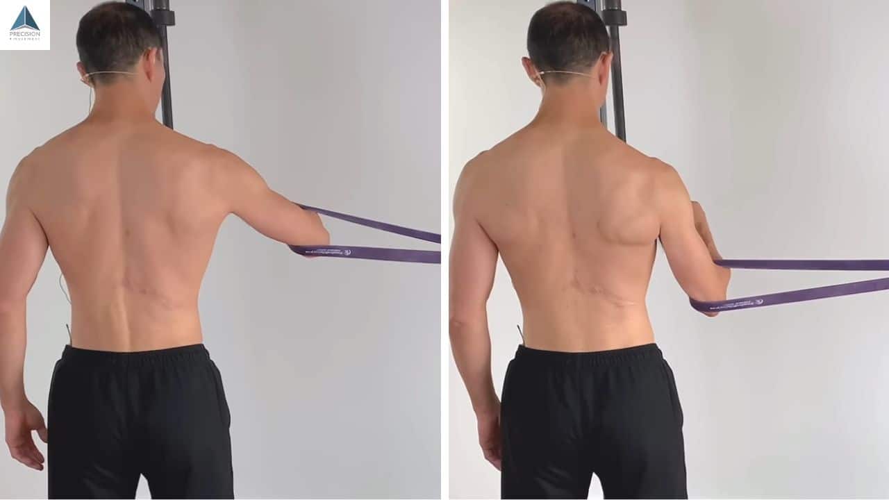 lower trapezius exercise