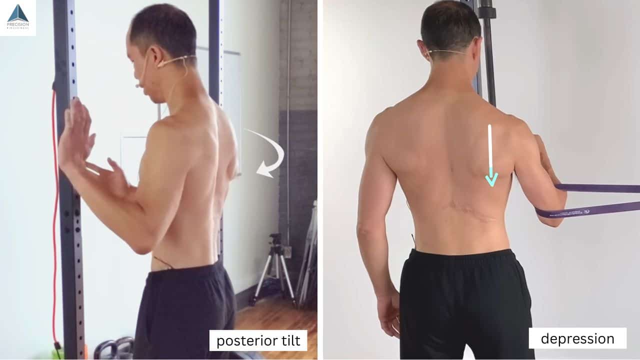 shoulder blade scapular posterior tilt and depression