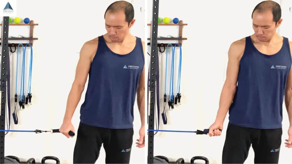 Distal Biceps Tendonitis Exercises That Reduce Pain Precision Movement