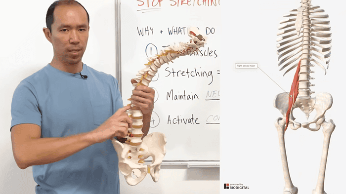 core stabilizers - psoas