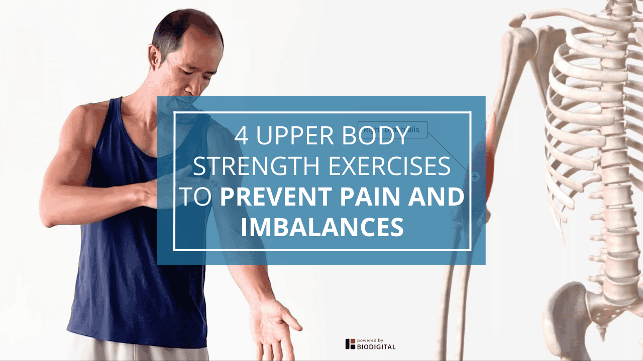 4 Upper Body Strength Exercises to Prevent Pain and Imbalances