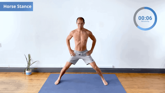 Wide stance isometric hold with bent knees and inward foot pressure, upright torso.