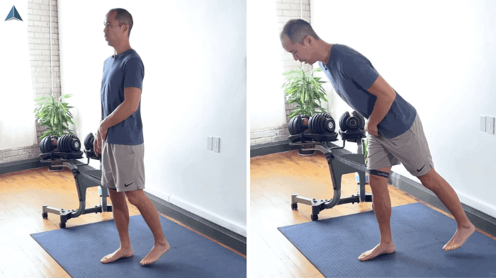 Midline hinge with resistance band integrating foot and hip stabilizers for functional balance.