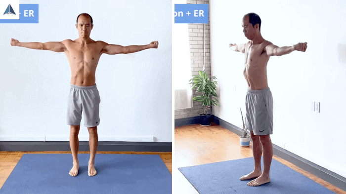 Arms out to the side with fists clenched, biceps rotated outward and spine neutral.