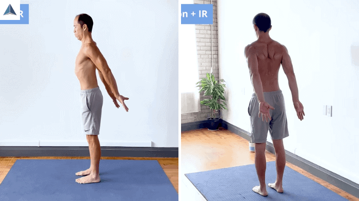 Arms at sides, thumbs turned inward, and shoulders retracted in standing posture.